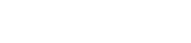 Dispositivi di connessione snodo